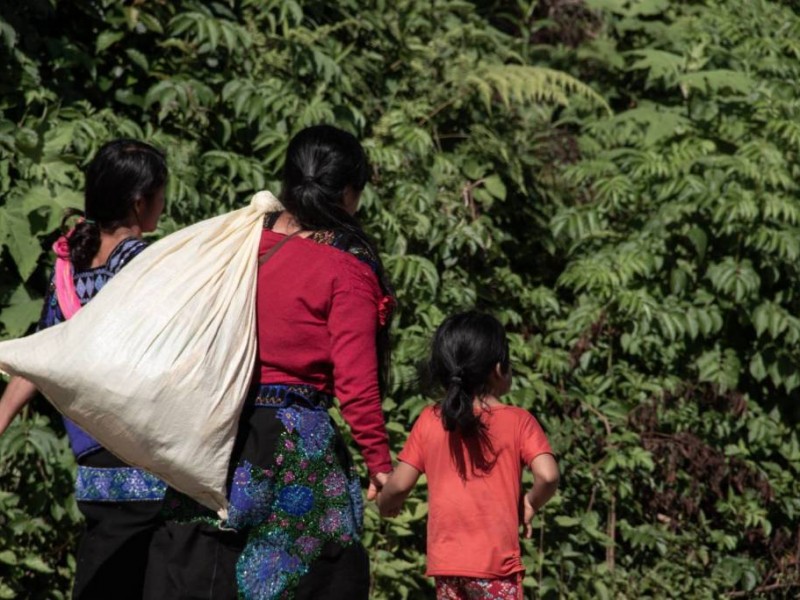 Más de mil agresiones se han presentado en Aldama, Chiapas