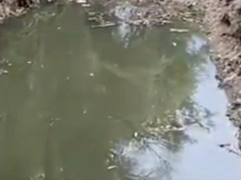 Más de mil descargas residuales se registran en el Atoyac