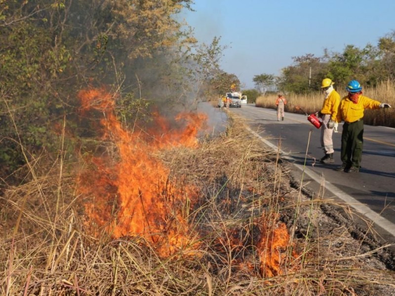 Más de mil hectáreas afectadas por incendios