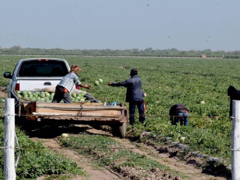 Más de mil millones perderá campo sonorense por sequía