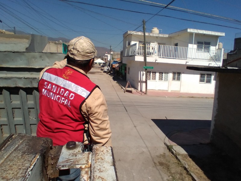 Más de mil toneladas de cacharros ha recolectado sanidad municipal