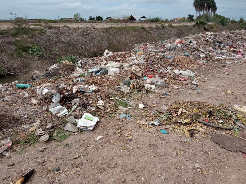 Más de un mes sin pasar la basura en Ohuira