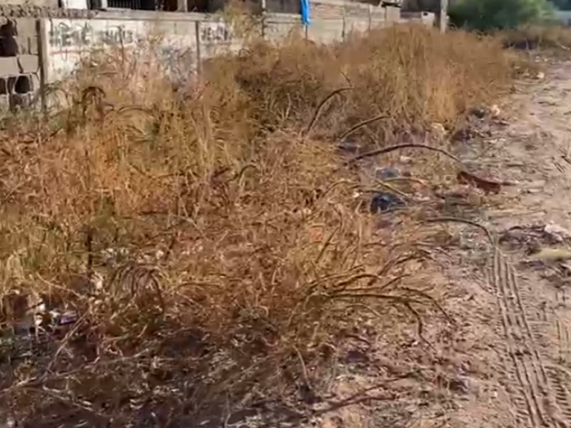 Más de un millón en multas por solares abandonados en Obregón