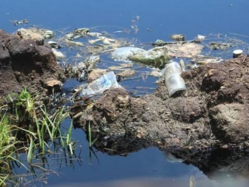 Más del 50% de basureros en Chiapas son irregulares