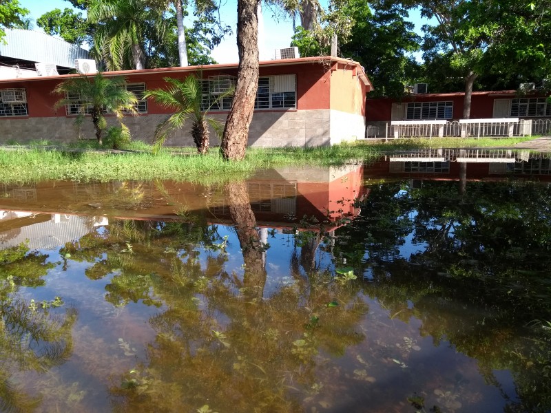 Más del 50% de escuelas ahomenses dañadas