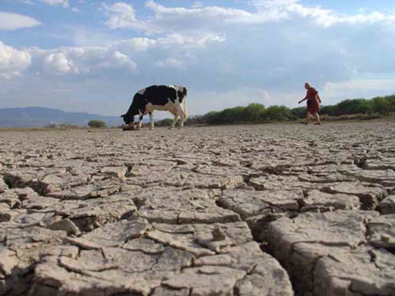 Más del 70% de Michoacán presenta sequía severa