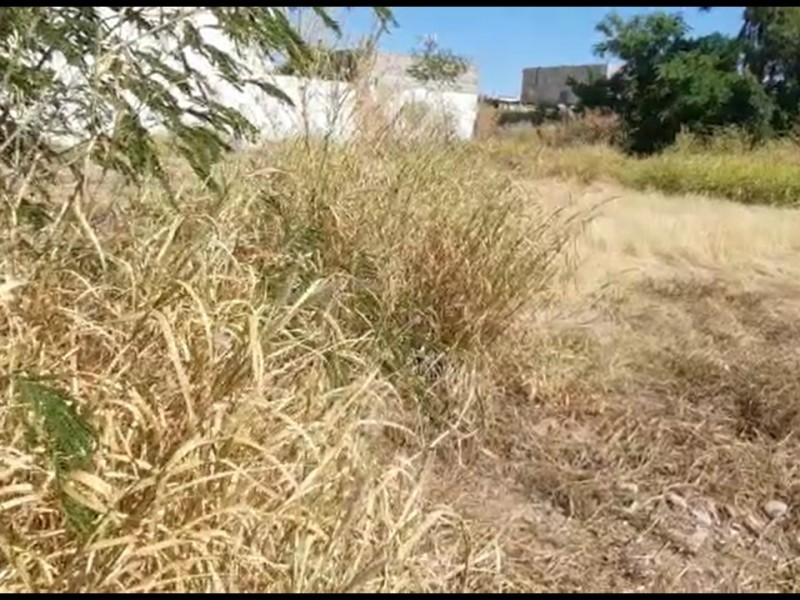 Más dueños multados por no limpiar lotes baldíos