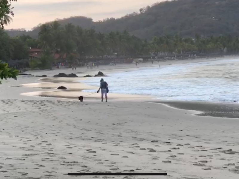Mascotas continúan ingresando a playa certificada BlueFlag