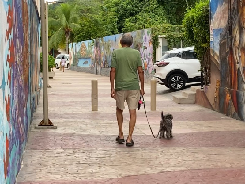 Mascotas siguen ingresando a playa La Ropa pese a restricción