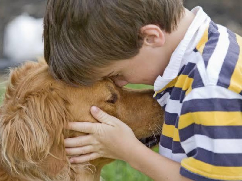 Mascotas: un remedio contra el estrés, para la Salud Mental