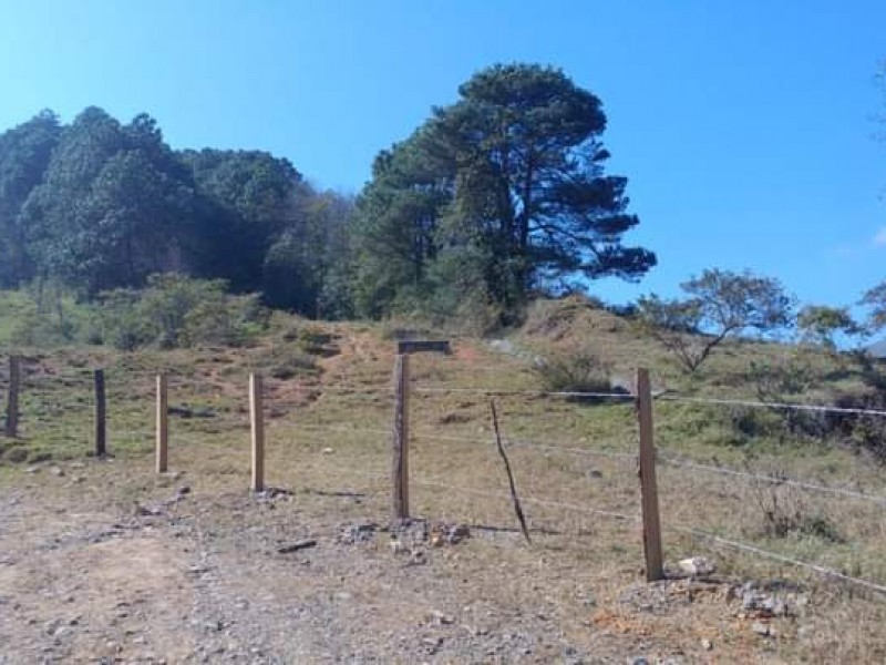 Matan a masculino dentro de rancho en Huauchinango