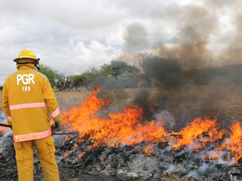 Media tonelada de narcóticos al fuego