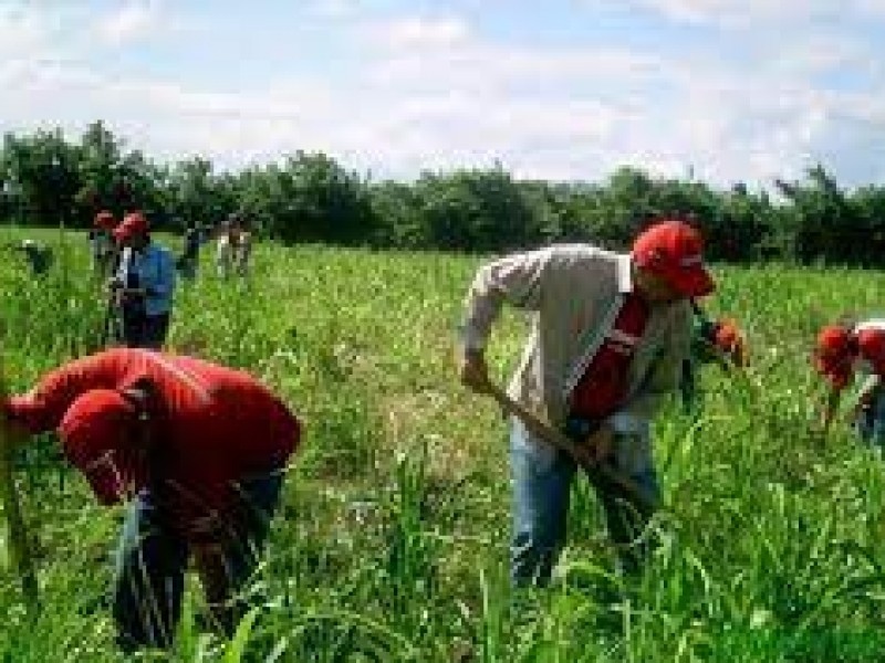 Mediocre crecimiento del PIB en Michoacán