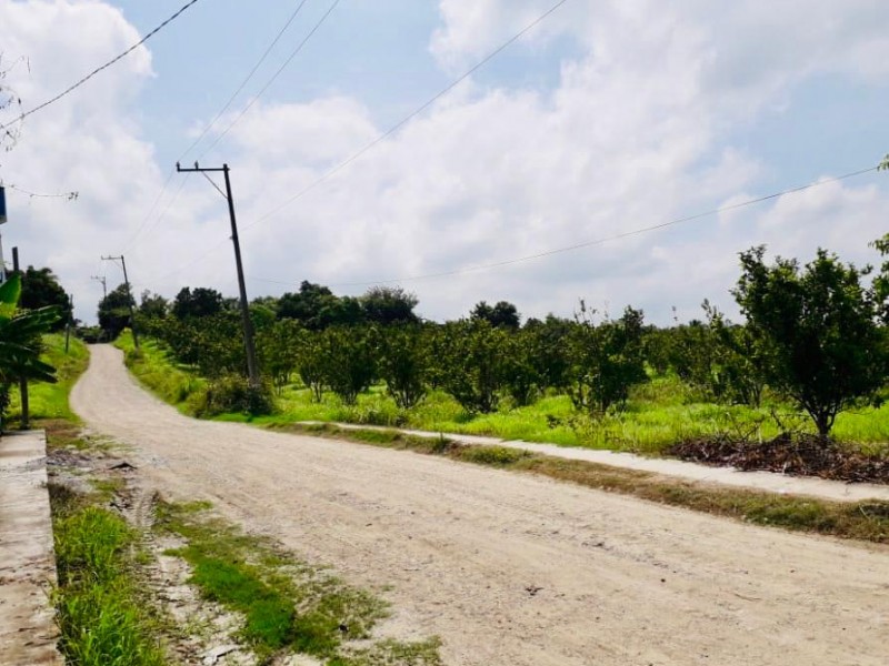 Mejora de caminos saca cosecha indispensable para la comercialización