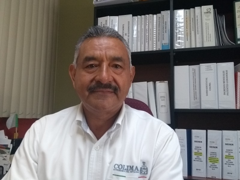 Mejora la producción de huevo en Colima