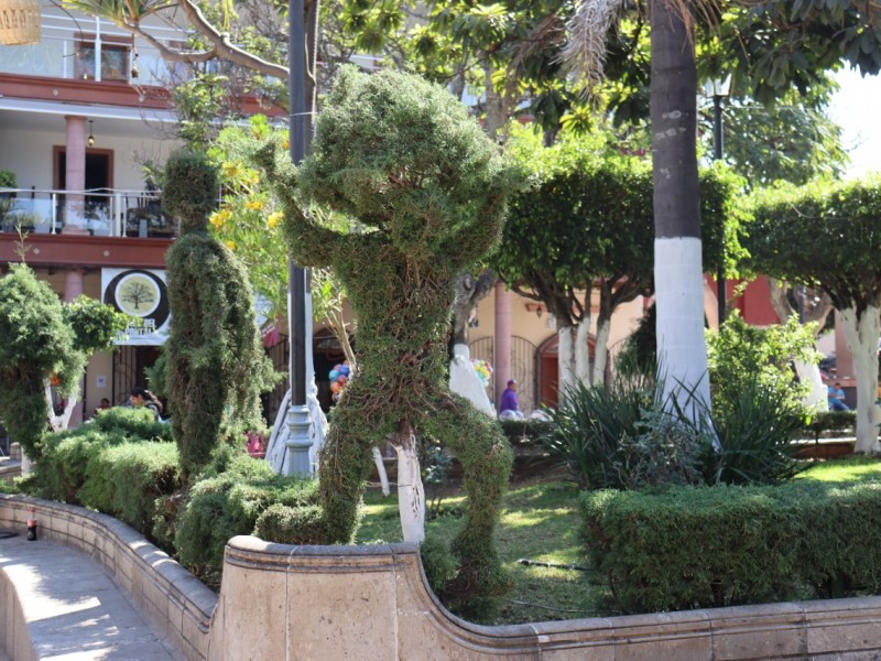 Mejoran apariencia de áreas verdes de la plaza de Jacona