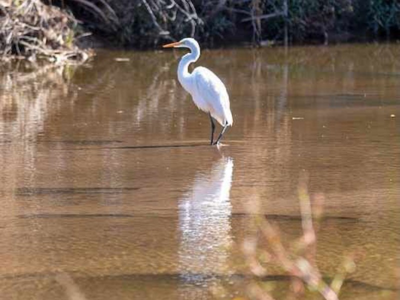 Mejoran condiciones del río Santa Cruz