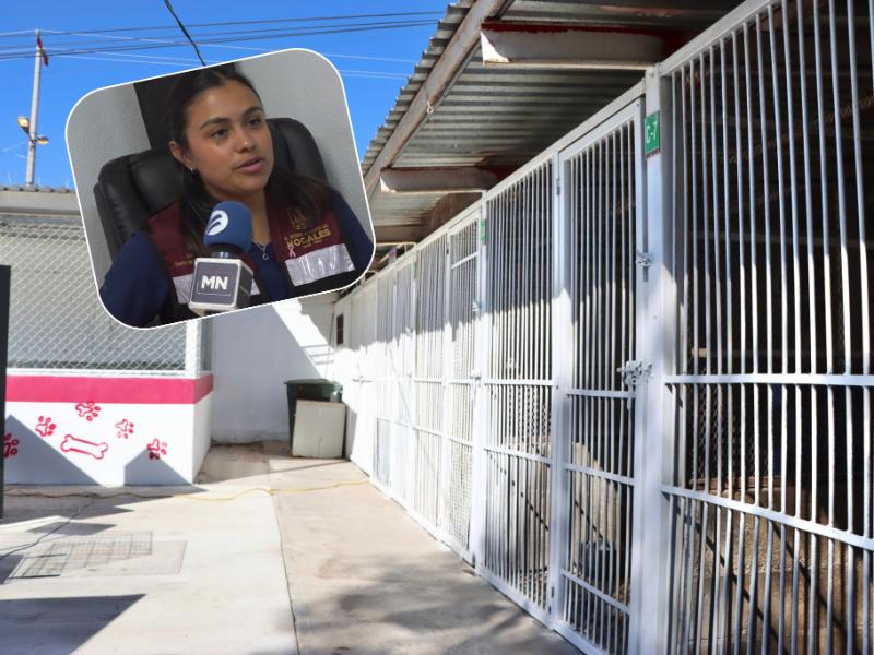 Mejoran instalaciones en Bienestar Animal