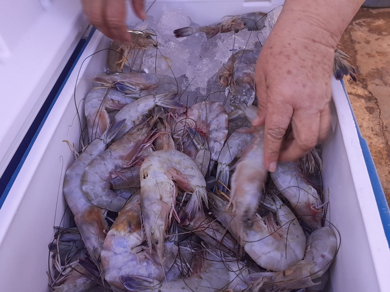 Mejoran ventas comerciantes de mariscos en temporada de cuaresma