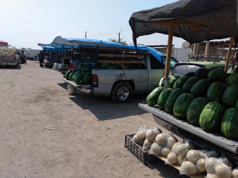 Melón y sandía; otro año a merced del coyotaje