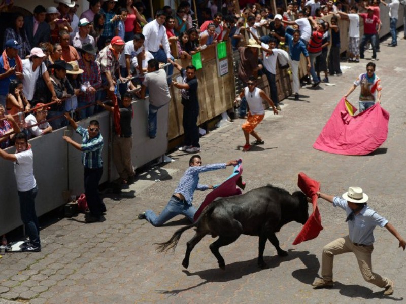 Menores de edad no deben acudir a corridas de toros: Diputada