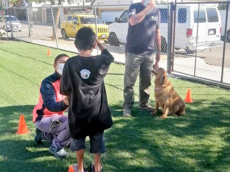 Menores infractores reciben reconocimiento de agrupación canina