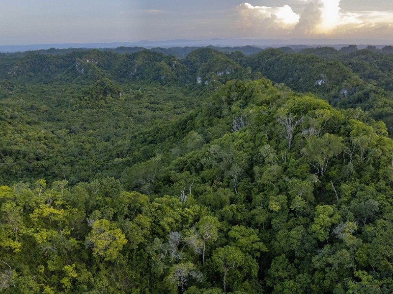 México acuerda con Belice y Guatemala proteger la Selva Maya