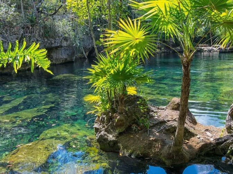 México cuenta con 200 áreas naturales protegidas