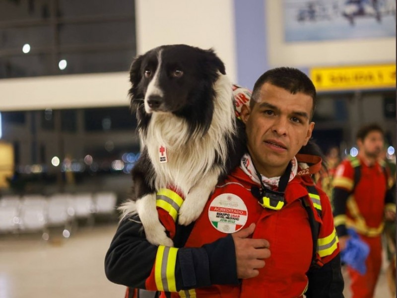 México envía ayuda humanitaria a Turquía