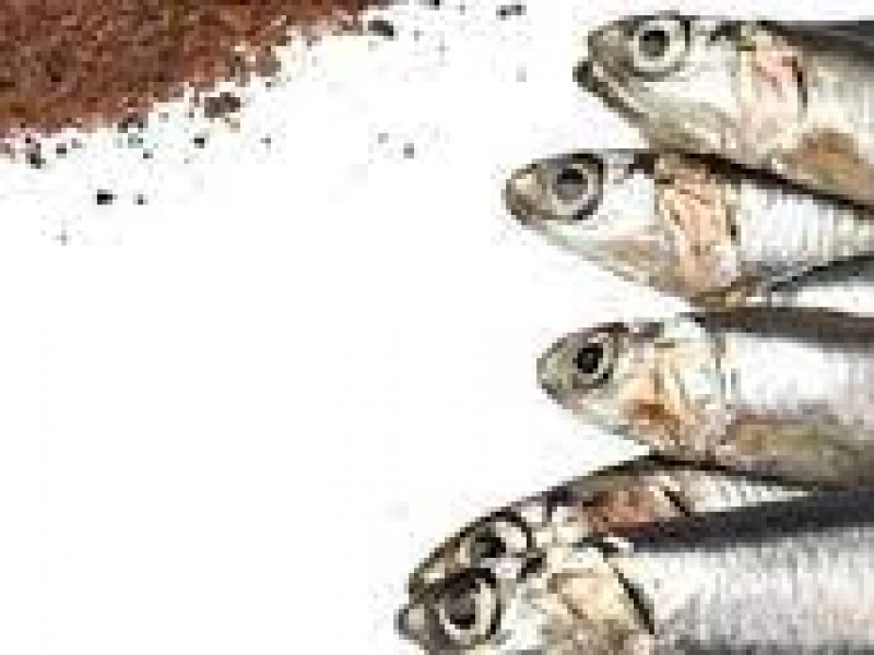 México es de los principales exportadores de sardina