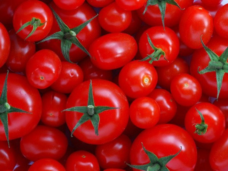 México establece precios mínimos para exportar tomate fresco al extranjero