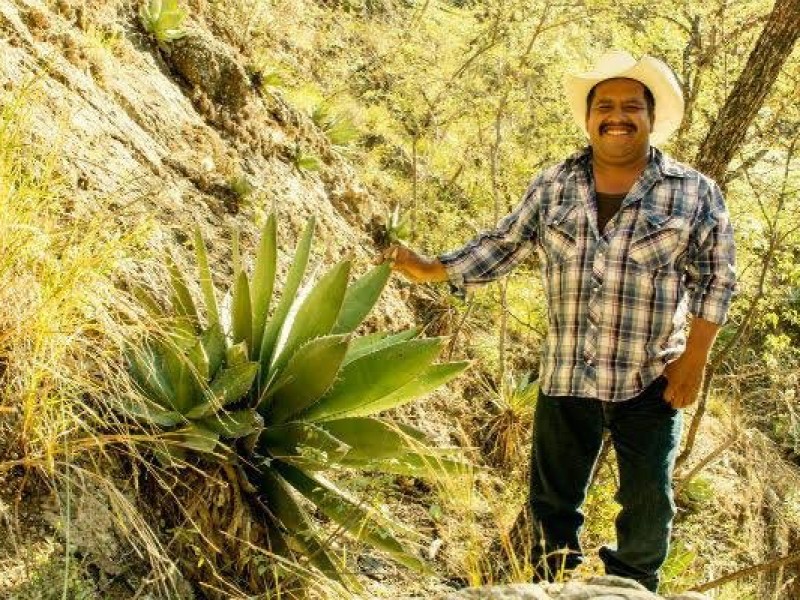 Mezcal de Caltepec el mejor en México