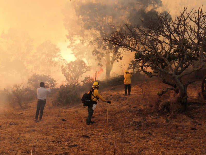 Michoacán, cuarto lugar nacional en incendios forestales