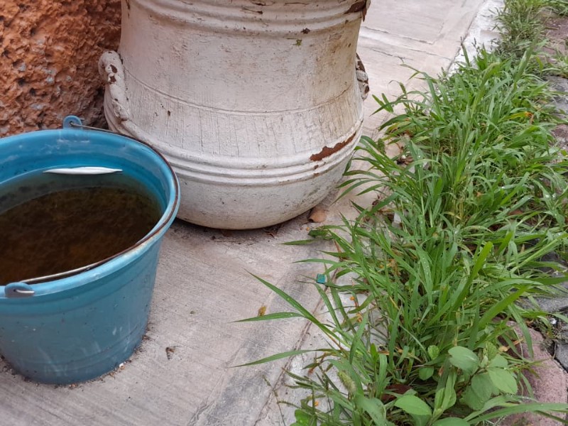 Michoacán, Jalisco y Guanajuato unen esfuerzos contra el dengue