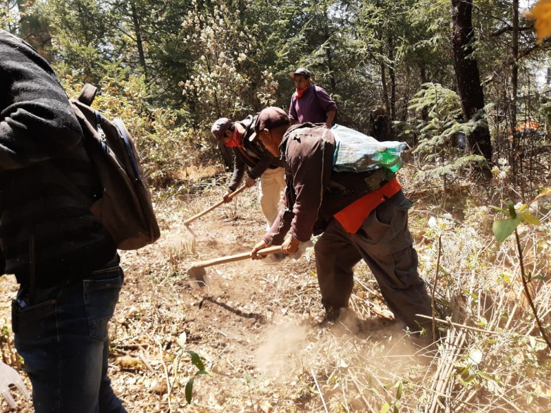 Michoacán ocupa la tercera posición con mayor número de incendios