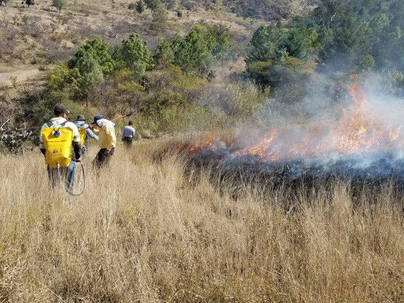 Michoacán registra 44 incendios en 2019