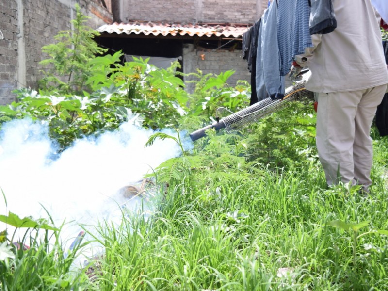 Michoacán registra 70 casos de dengue