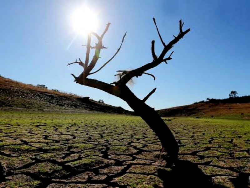 Michoacán se encuentra en foco rojo por falta de lluvias