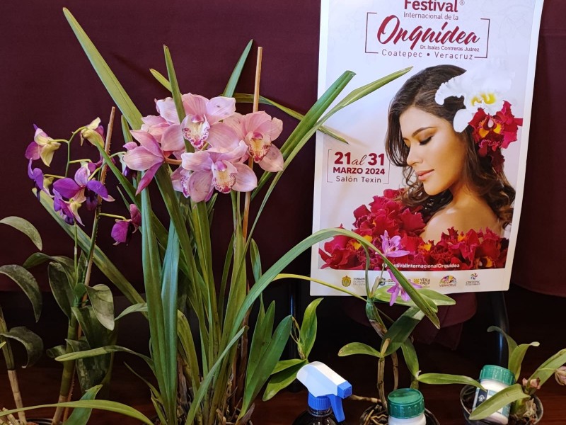 Michoacán parte del festival de orquideas en Michoacán