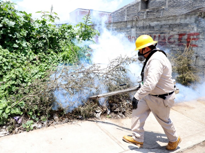 Michoacán suma 27 casos de dengue