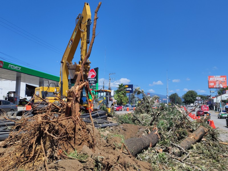 'Microclima de Xalapa va más allá de un camellón': Gobernador