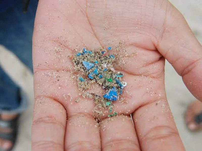Microplásticos contaminan todas las especies marinas en desembocaduras de ríos