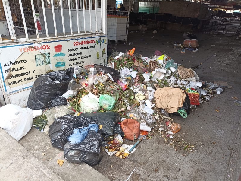 Mientras no mejore servicio de recolección, basura afectará a mercado