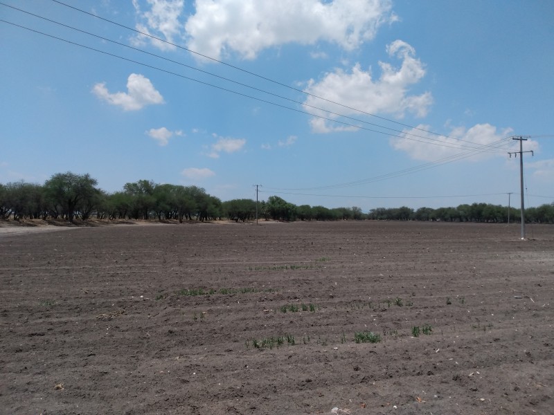 Migración genera abandono del campo en comunidades de León