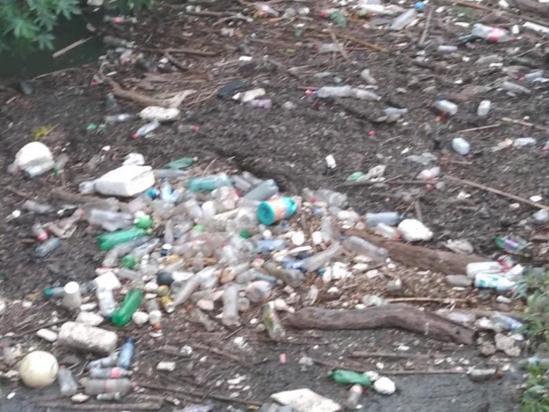 Mil multas realizadas por abandono de basura en Morelia