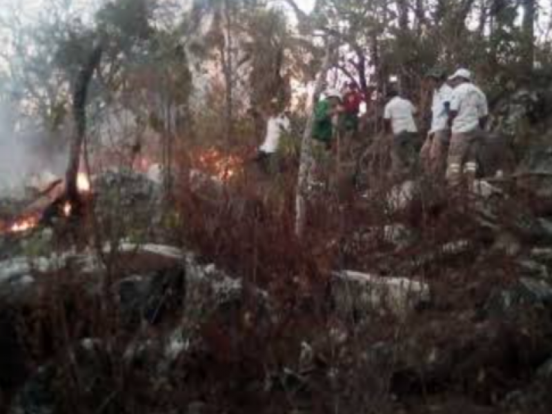 Miles de hectáreas de recursos naturales pérdidas por actividad humana