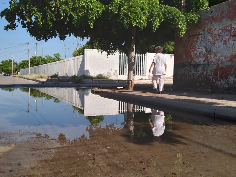 Miles de litros de agua potable se desperdician al día