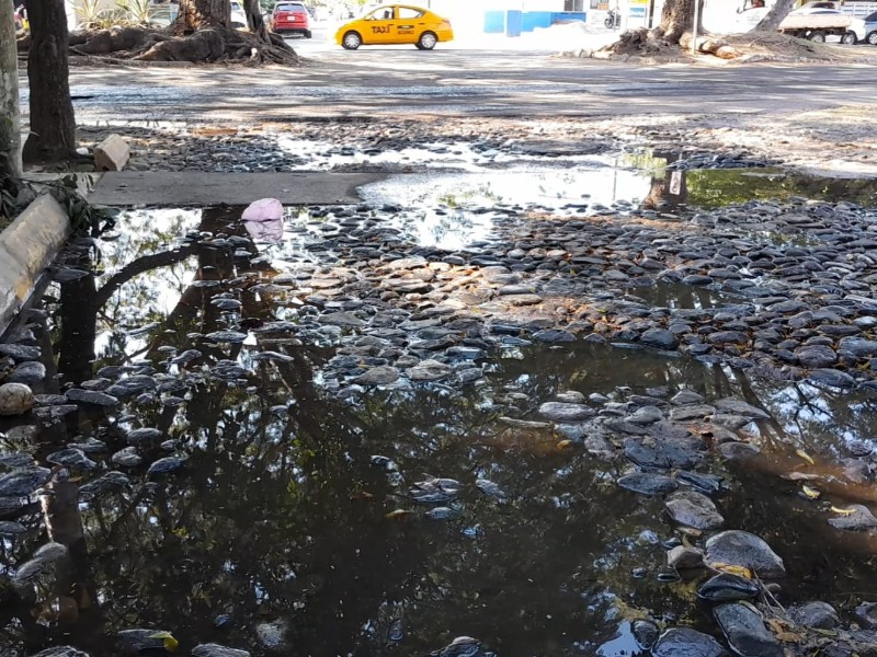 Miles de litros desperdiciados por fuga de agua en Loma Bonita