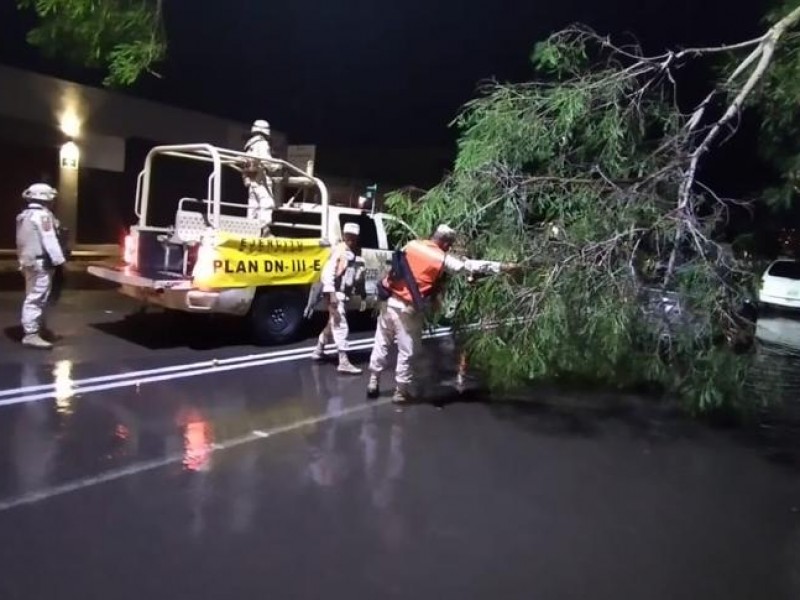 Militares ayudan a hermosillenses afectados  por lluvia y viento