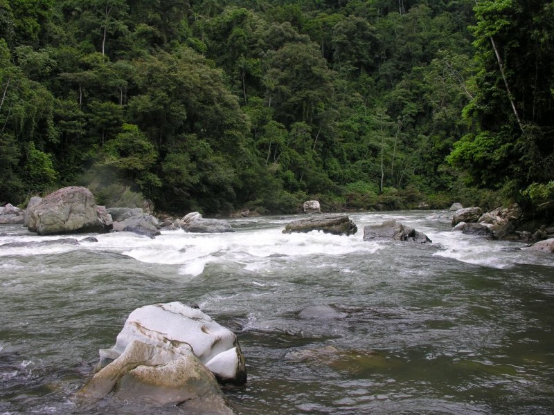 Millonaria inversión para cuencas en la entidad